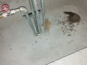 邯山卫生间测漏水价格明细